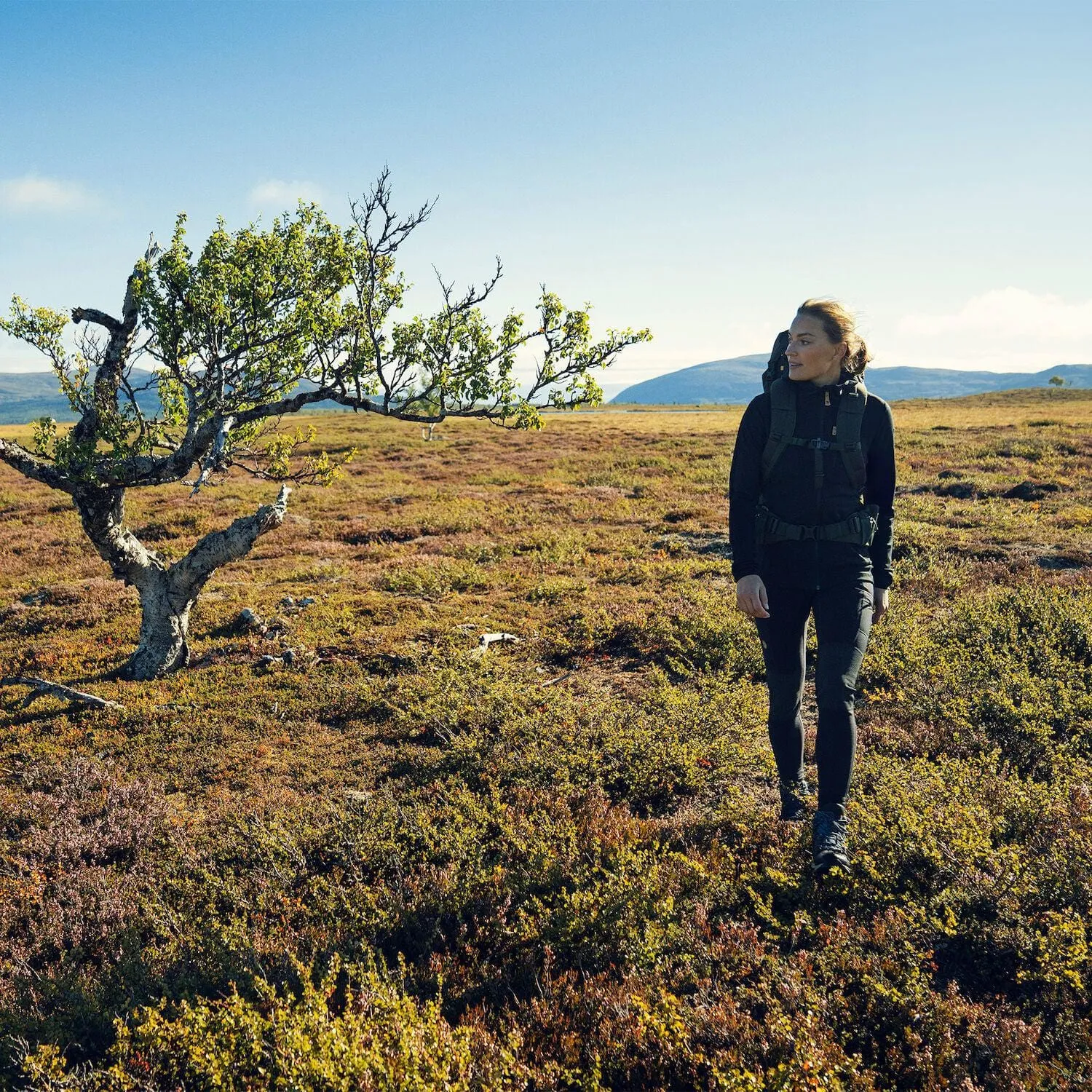 Abisko Trekking Tights W