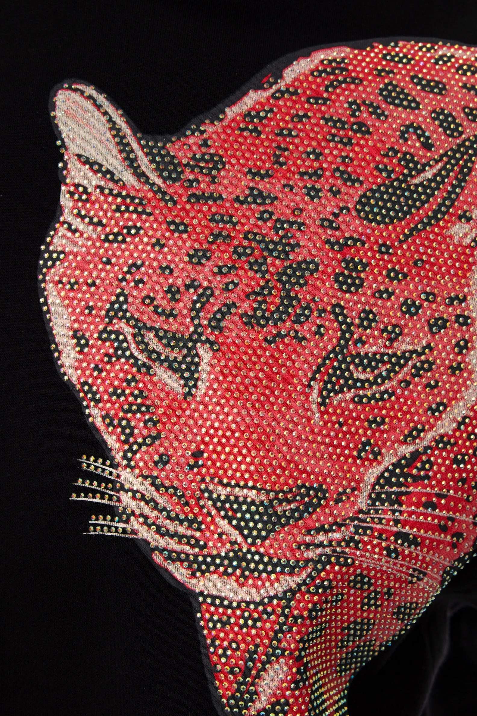 Heads or Tails Graphic Tee