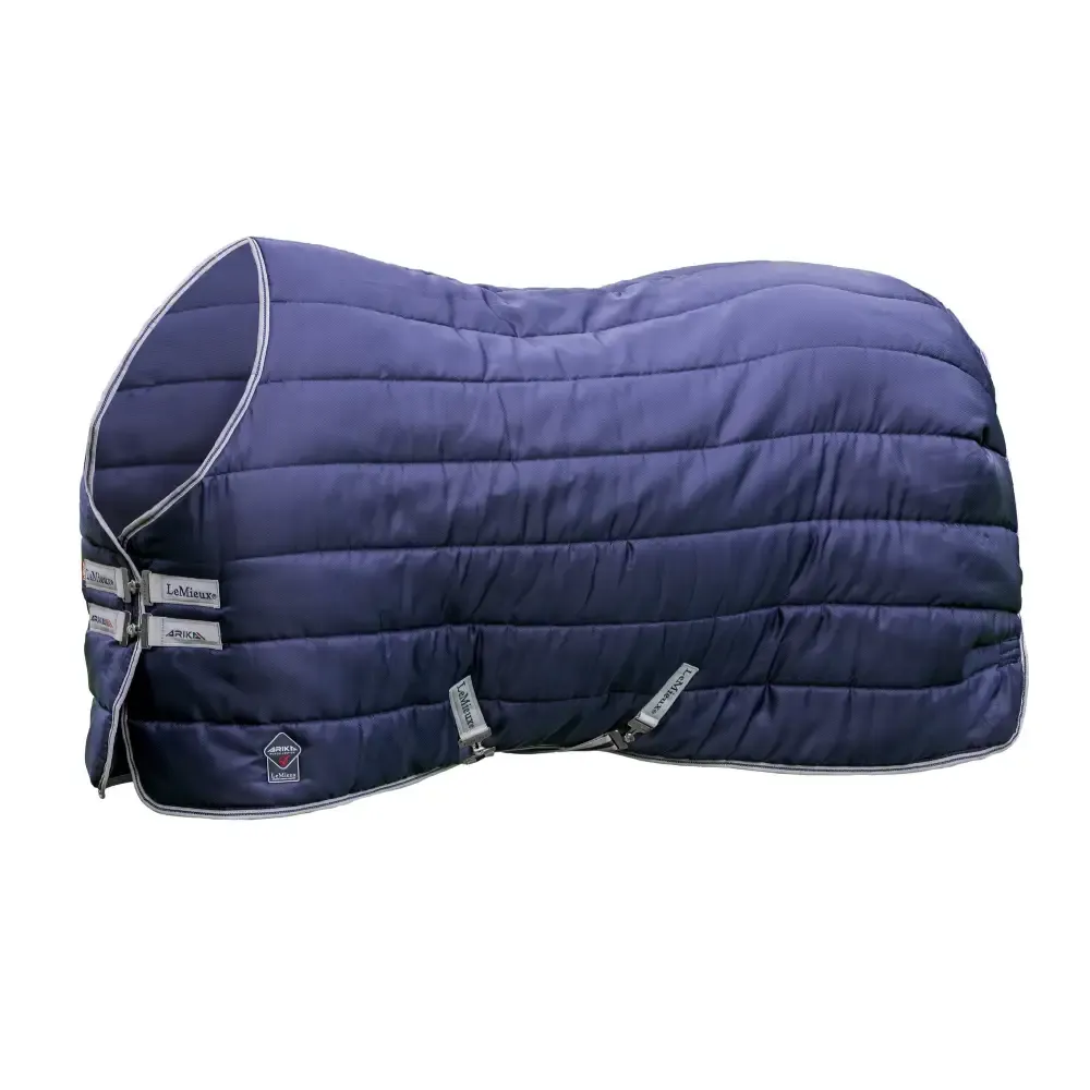 Lemieux Arika Stable-Tek 100g