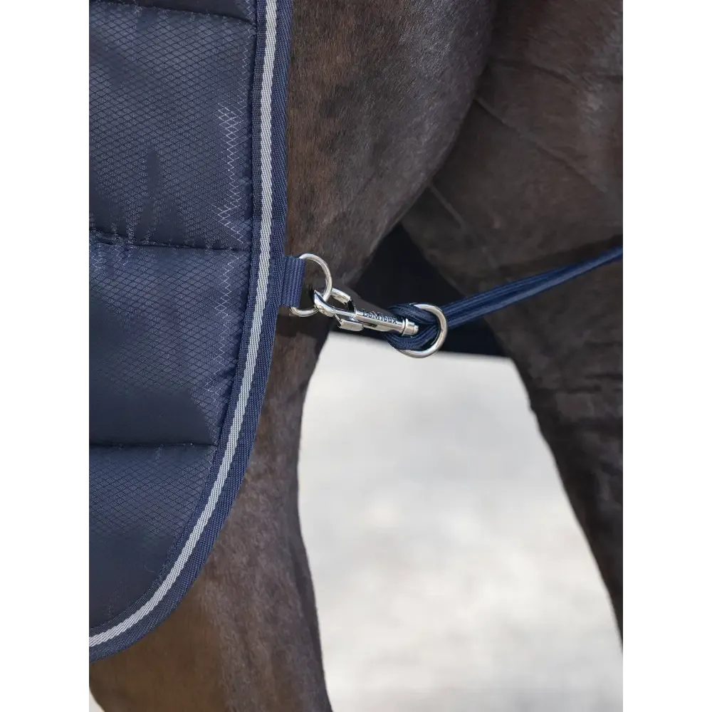 Lemieux Arika Stable-Tek 100g