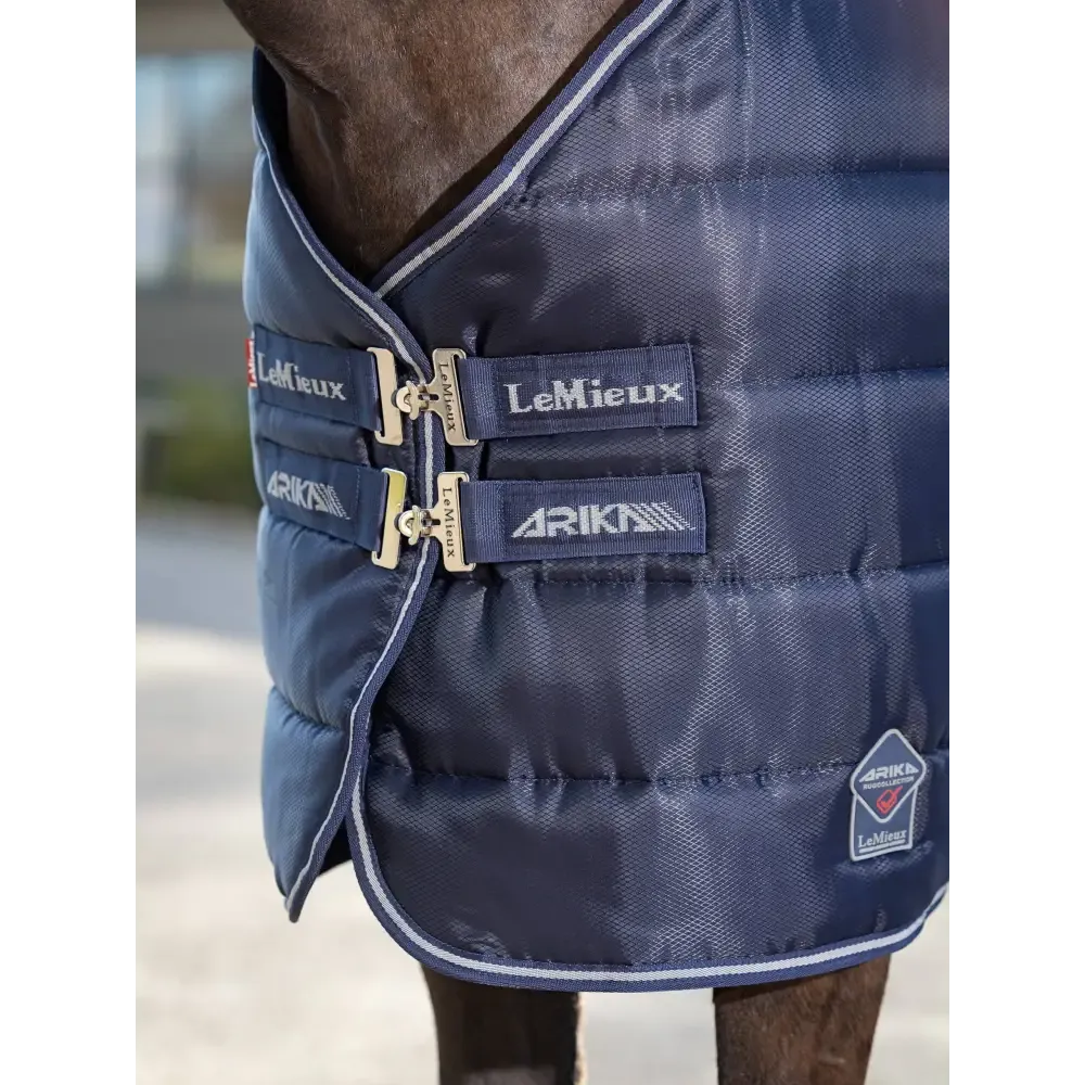 Lemieux Arika Stable-Tek 100g