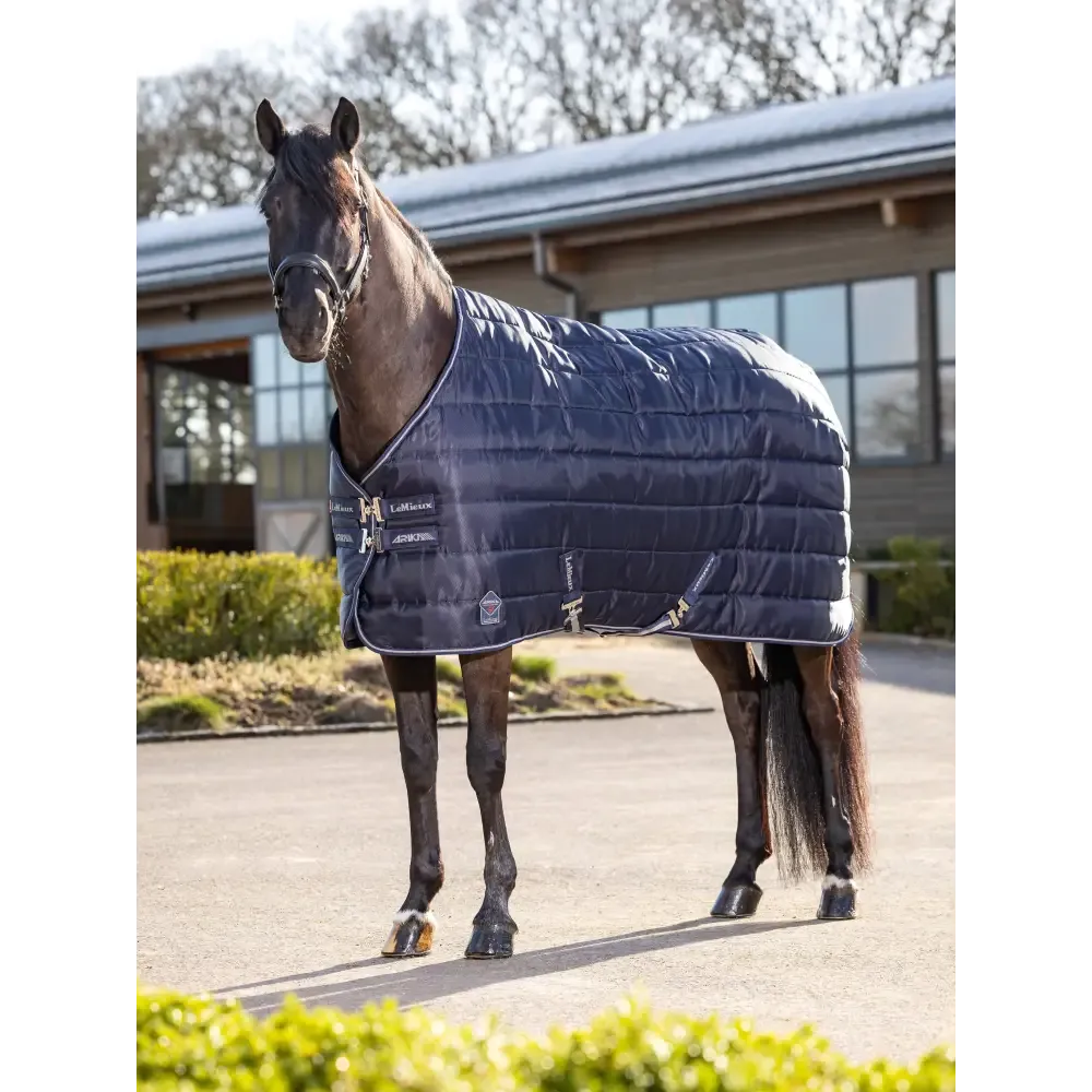 Lemieux Arika Stable-Tek 100g