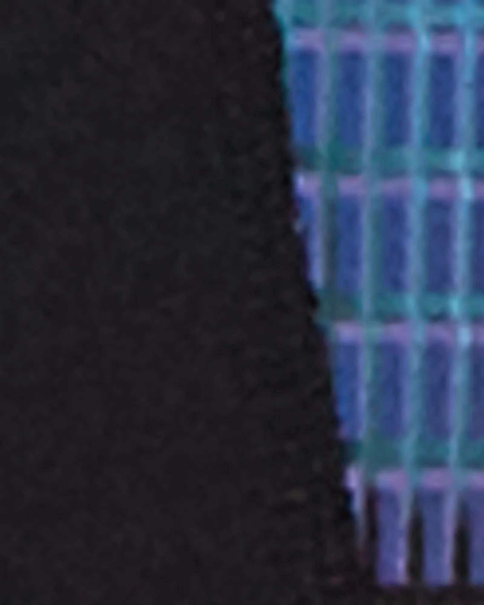 Liverpool Capri Tights | Black / Purple