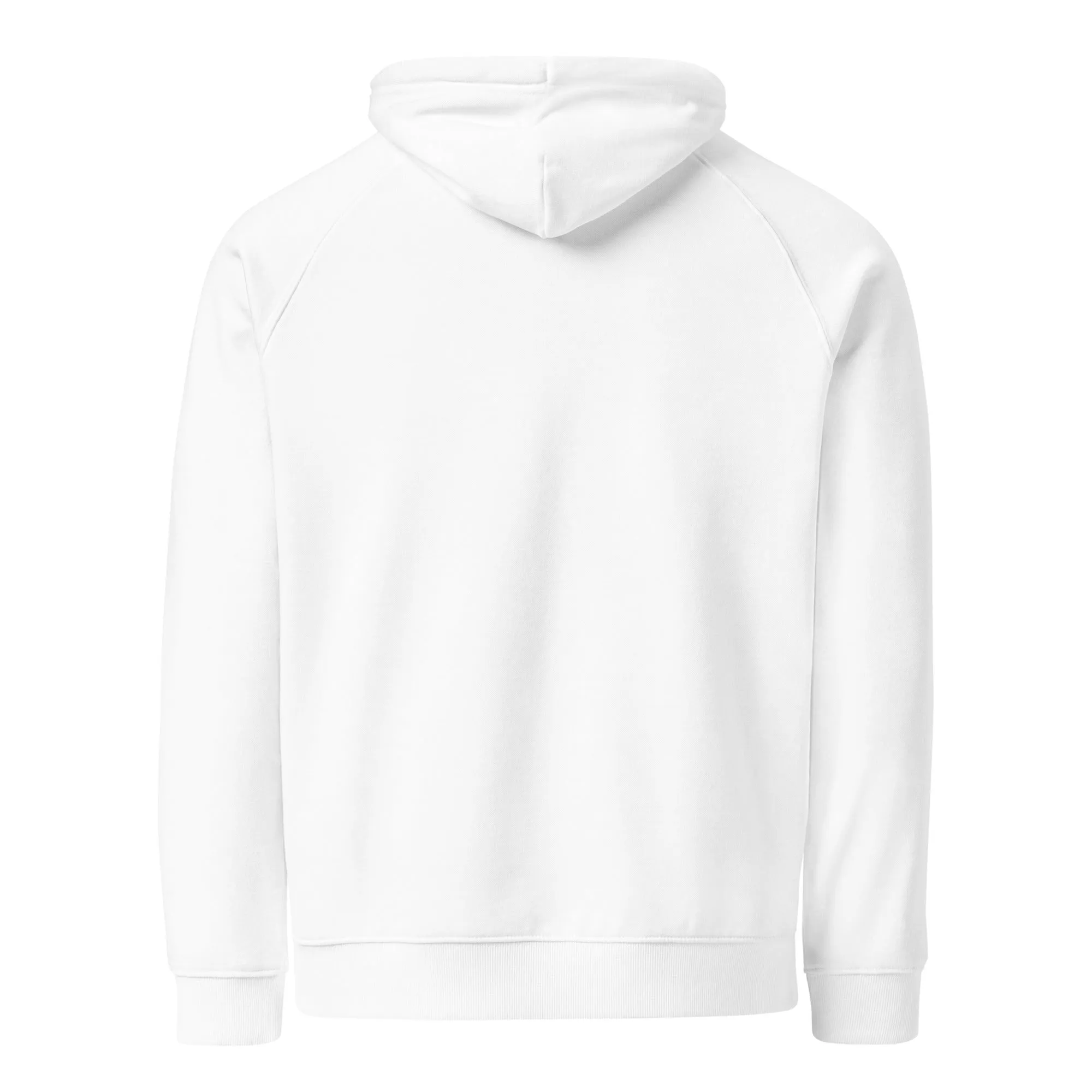 Turkey Feast Graphic Men Eco Raglan Hoodie