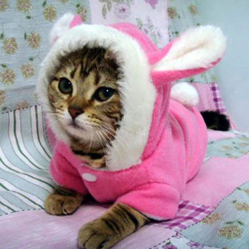 Winter Cat Clothes Costume Clothes For Cats Hoodies Cute Rabbit Cat Coat Puppy Outfit Fleece Warm Pet Clothing for Cats 30F1